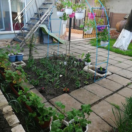 Casa Flor Appartement Două Mai Buitenkant foto